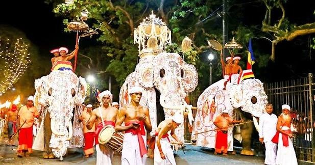 Esala Perahera - Kandy - Cultural and Traditional Attire - Acoustic Rhythms.